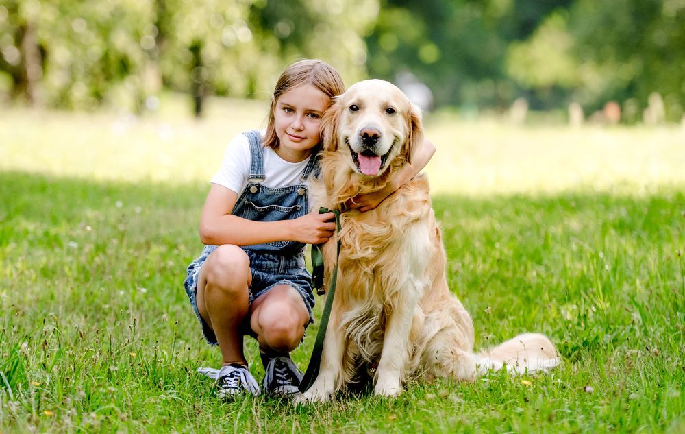 Dogoterapia. Dziewczynka przytulająca labladora